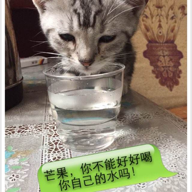 大学没毕业有学历证书电子备案表吗